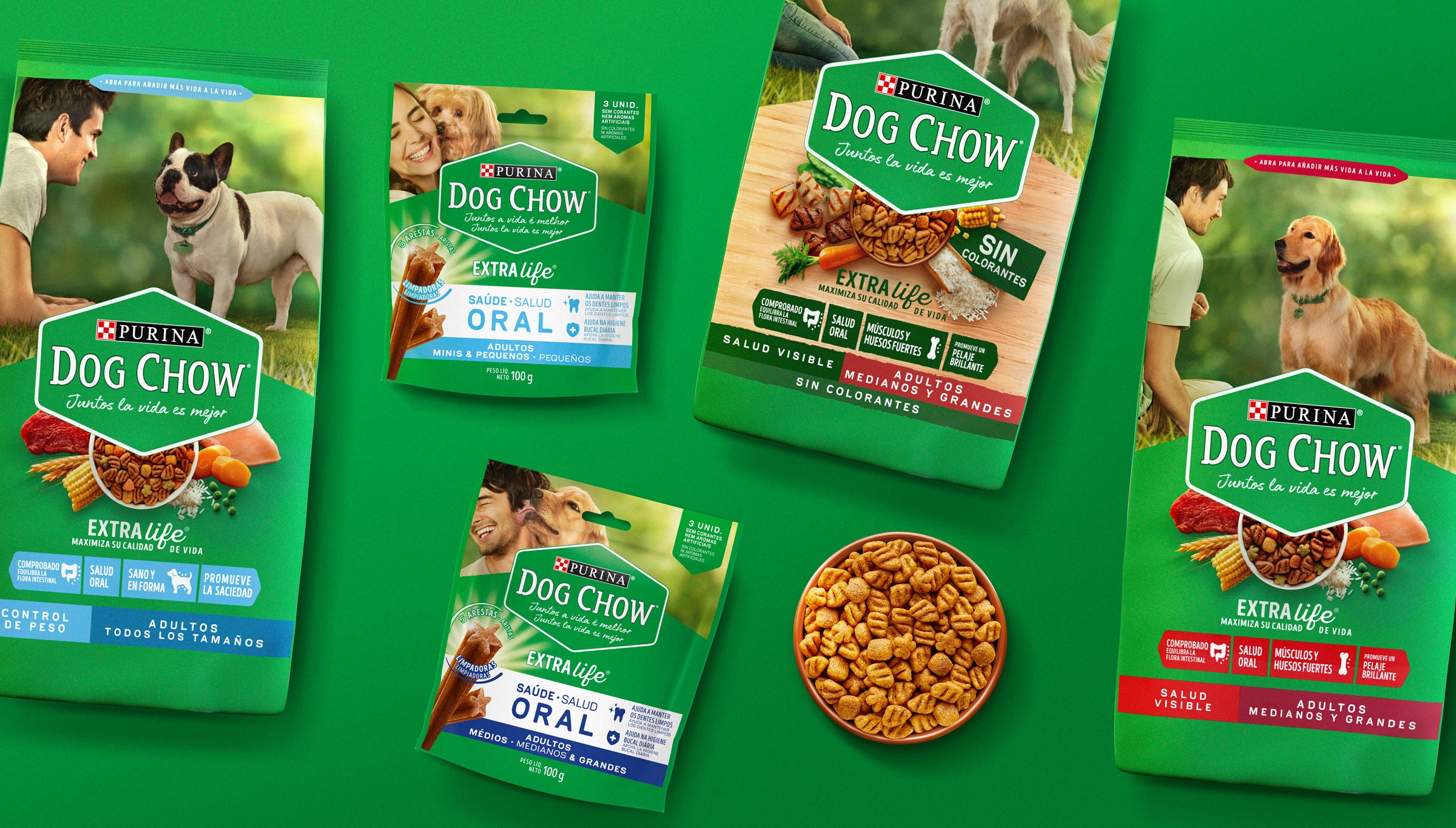 Happy dog with premium dog food